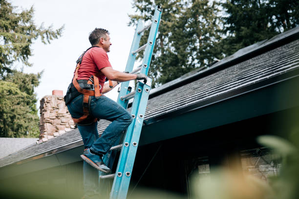 Best Roof Moss and Algae Removal  in Clinton, MI