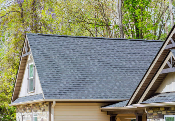 Best Sheet Metal Roofing  in Clinton, MI